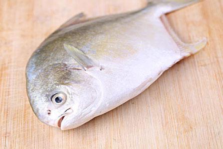 The price of Golden Pompano is stable high but why the demand and market are going well?