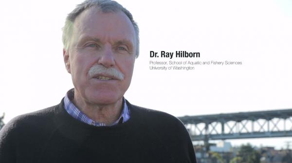 Ray Hilborn study disputes previous findings on forage fish