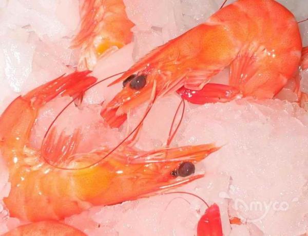 Shrimp-Seafood Health Facts: Making Smart Choices