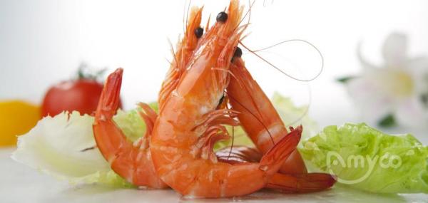 How much do you know about Vannamei Shrimp?