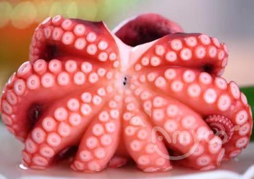 Frozen Cooked Octopus-Matako