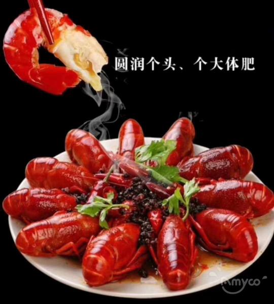 China Crayfish Industry Development Report (2022)