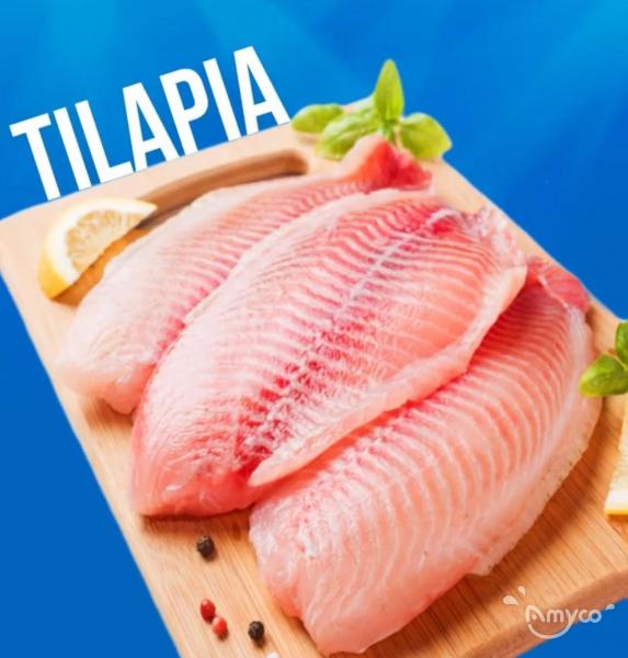 China Tilapia-cage farmed 100% safe and healthy