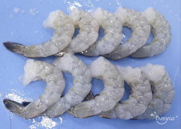 Vannamei Shrimp Raw PDTO