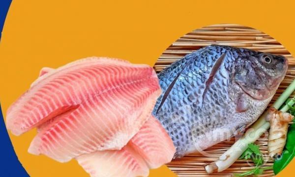 Chinese Tilapia prices flatten in US market after short drop