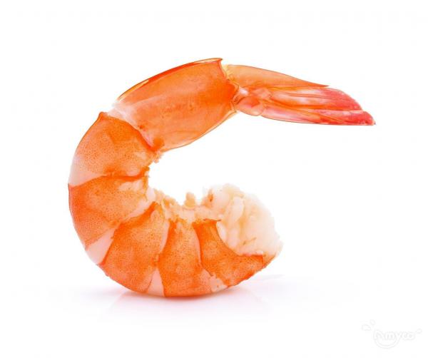 U.S. shrimp imports begin to rebound, but prices remain low