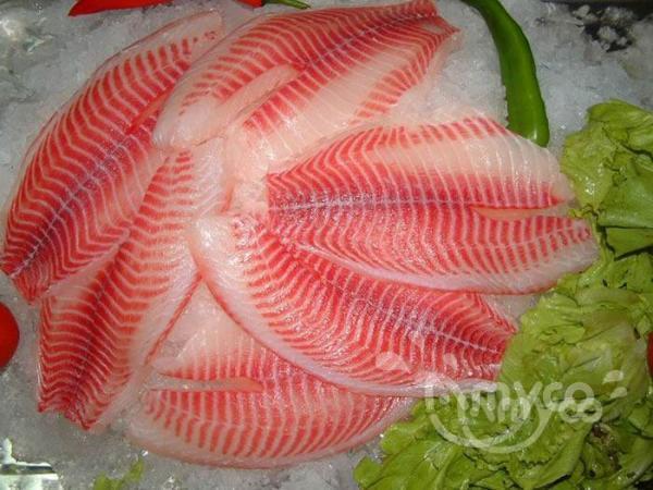 Why the occasional off-flavors in our Tilapia, and how to avoid it?