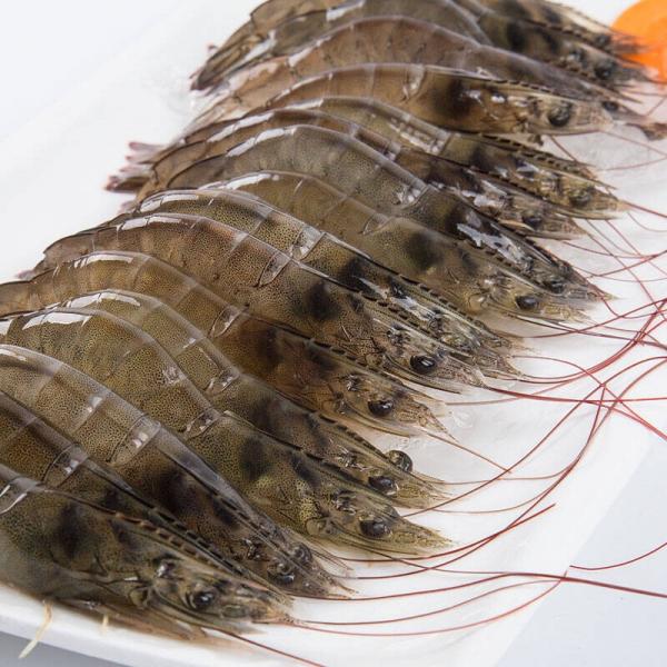 The price of Vannamei Shrimp will continue to fall in the second quarter？