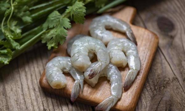 U.S. shrimp imports continue to rebound