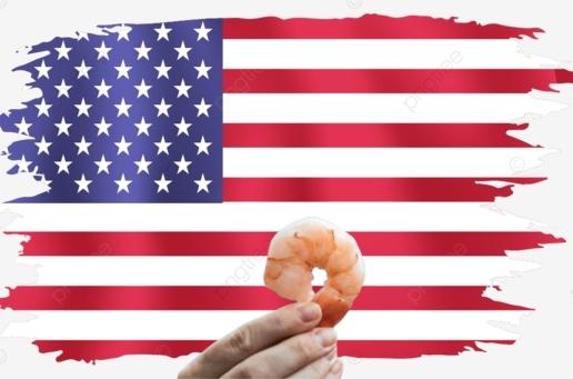U.S. imports hit a new record, but shrimp exports from many countries suffered