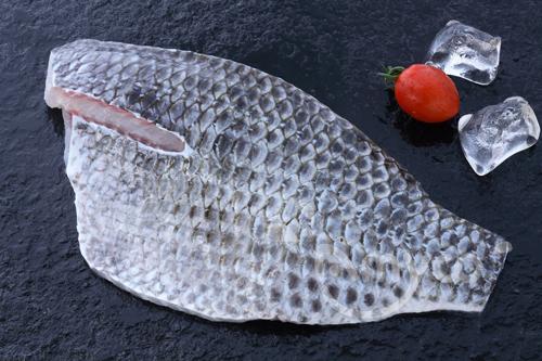 Frozen Tilapia Fillets skin-on