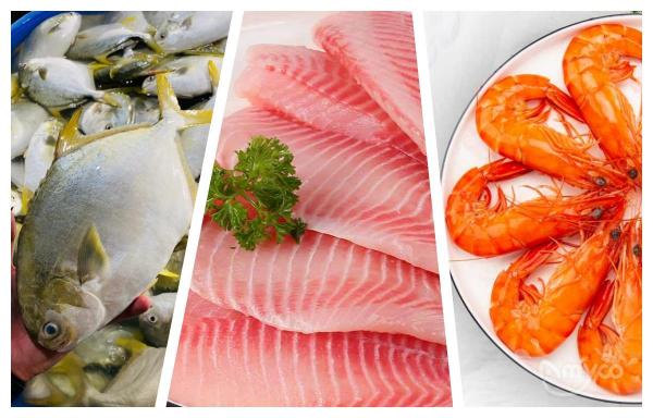 Why choose frozen seafood ?